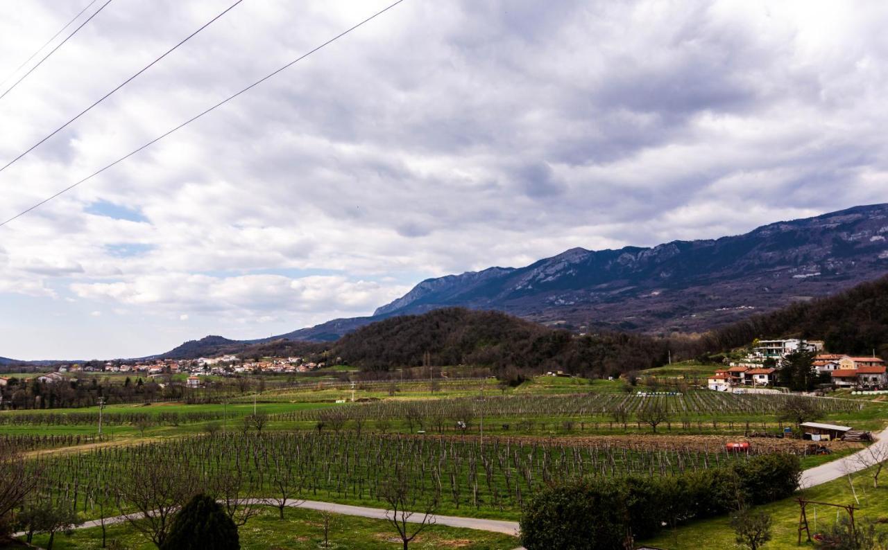 Rooms&Vinery Bregovi - Sobe In Vinska Klet Bregovi Dobravlje Exterior foto